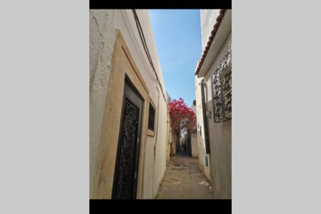 Appartement Dar El Halfaouine à Tunis Extérieur photo